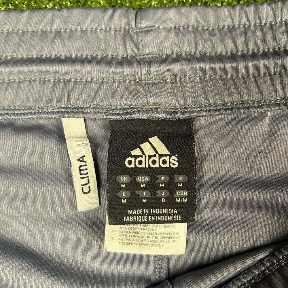 Adidas Men's Grey and Blue Shorts